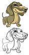 Vector illustration dachsie isolated on white background Vector illustration dachsie isolated on white background