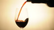 bicchiere di vino-glass of wine