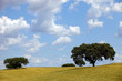 canvas print picture alentejo