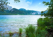 Alpine summer lake view