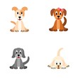 Four cute puppies
