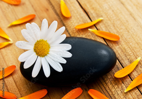 Foto: Wellness Wellness