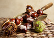 Shovel with chestnuts