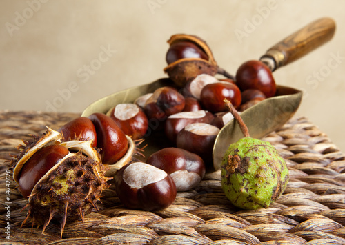 Photo: Shovel with chestnuts Shovel with chestnuts