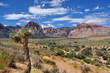Red Rock Canyon view area