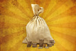 Bag full of money