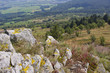 Foto: Landschaft Mittelgebirge © Matthias Buehner Landschaft Mittelgebirge © Matthias Buehner