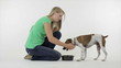 A girl feeding doggie treats to a little Jack-Rat Terrier A girl feeding doggie treats to a little Jack-Rat Terrier