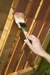 Foto: woman's hand with a paint brush painting wooden terrace woman's hand with a paint brush painting wooden terrace