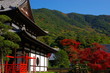 日本の寺院と紅葉　Autumn tint and temple in Japan