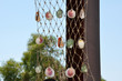 seashell decoration