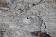 The mud volcanoes