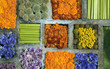 Texture of many different flowers in blocks