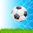 Fußball im Tor