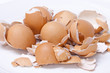 Eggs shell scattered