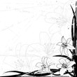 lily background