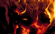 firewood