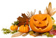 Halloween Arrangement auf weiß mit Textfreiraum