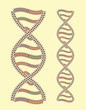 Vector DNA as Greek ornament (seamless after quick edit)