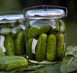 pickled cucumber  / ogórki kiszone