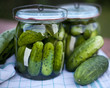 pickled cucumber  / ogórki kiszone