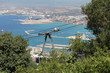 Gibraltar