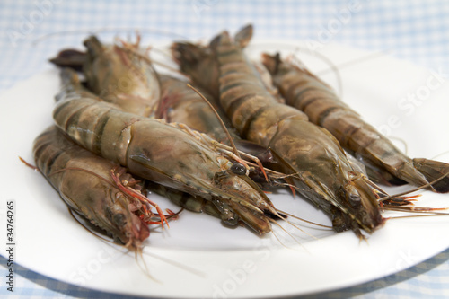 Foto: Prawns Prawns