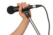 woman singing on the concert