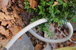 Foto: Plastikrohr Plastikrohr