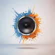 Acoustic Loudspeaker