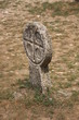 tombe templière