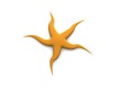 Sea star. 3D render. Sea star. 3D render.