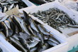 Poissons frais en Crète