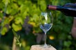 Foto: Wein Wein