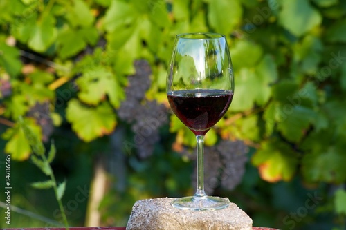 Foto: Wein Wein