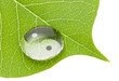 Yin yang symbol on water drop Yin yang symbol on water drop