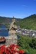 Froschkönig auf Reichsburg Cochem Froschkönig auf Reichsburg Cochem