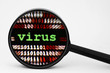 Virus