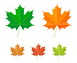 Maple leaf icons