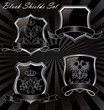 Set of security shields