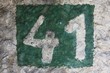 41
