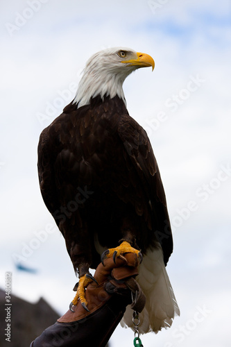 Photo: Eagle Eagle