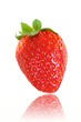 Photo: Strawberries Strawberries