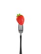Photo: Conceptual Diet Conceptual Diet