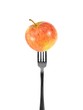 Photo: Conceptual Diet Conceptual Diet