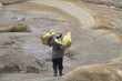 Mineur à Kawah Ijen
