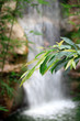 20Wasserfall11