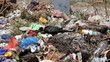 Pollution, crow on garbage