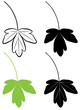 Leaf_one Leaf_one