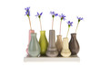 Felicia flowers in little vases